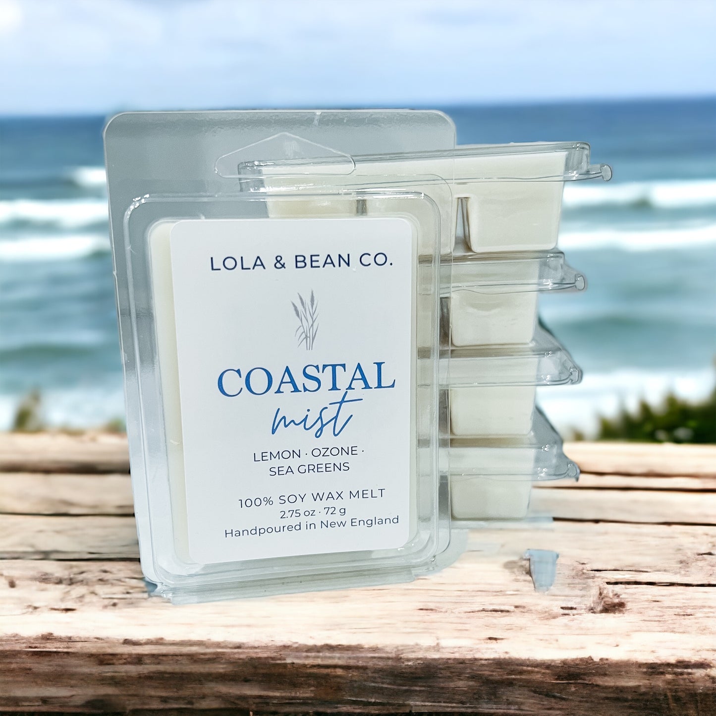 Coastal Mist Soy Wax Melt Bar