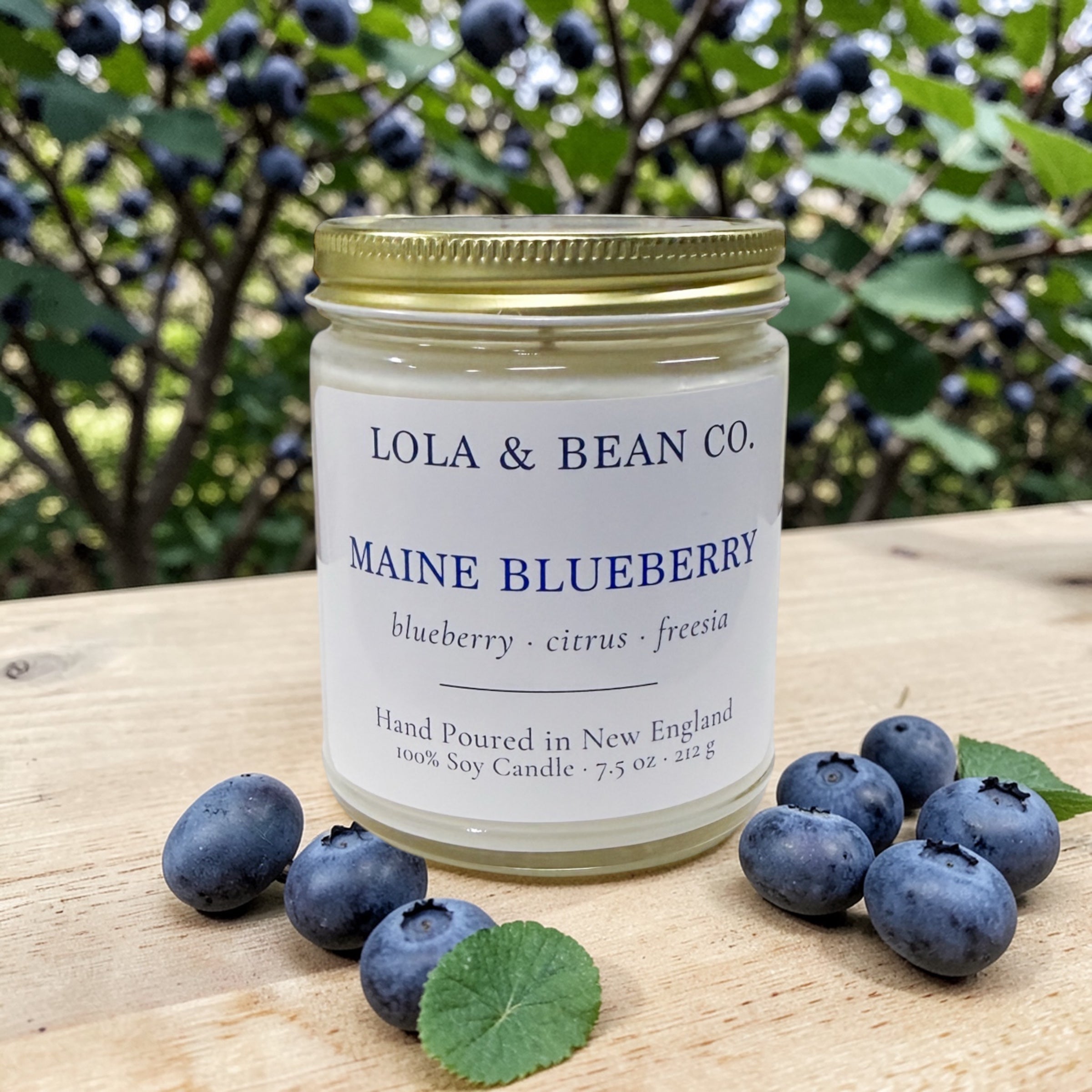 Maine Blueberry Soy Candle
