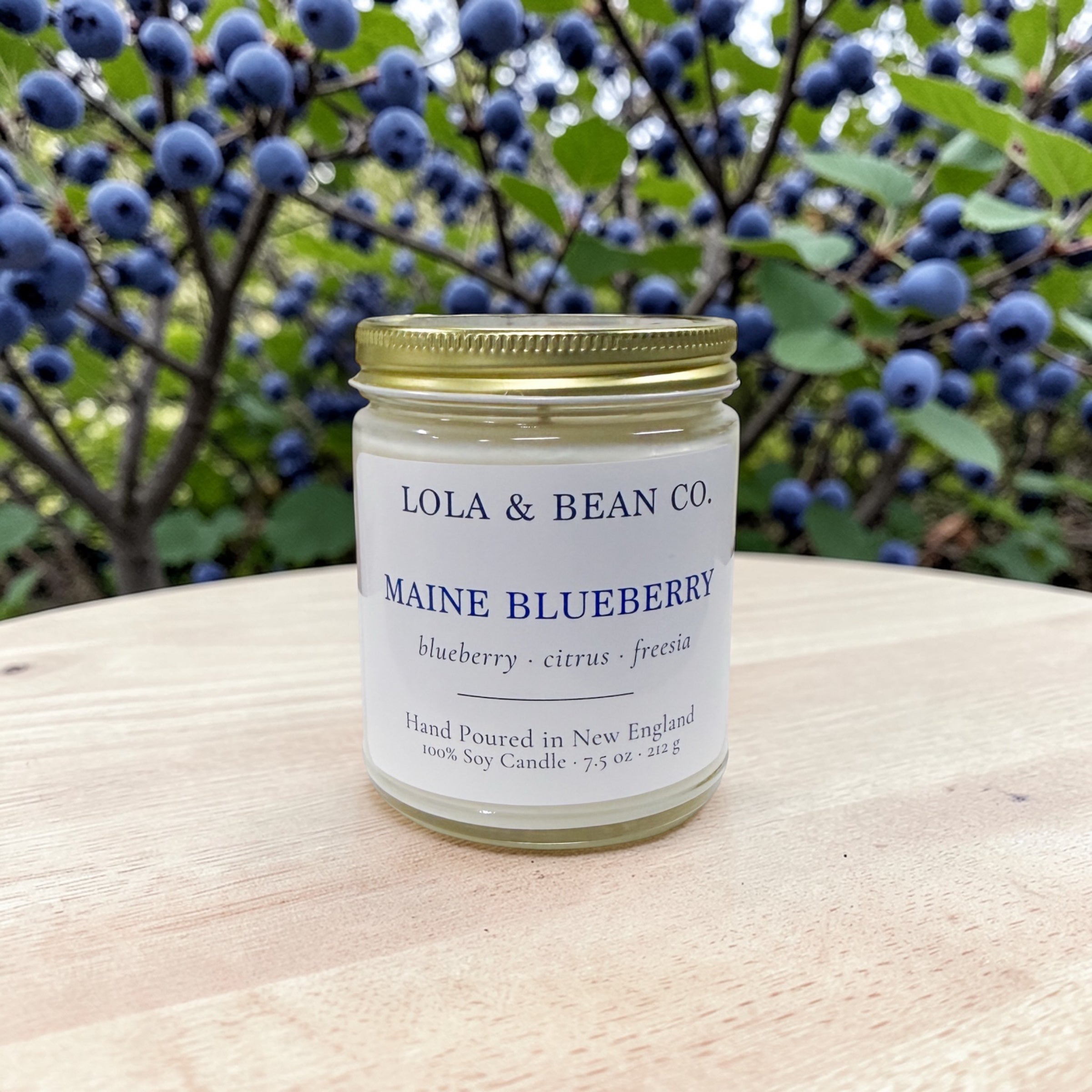 Maine Blueberry Soy Candle