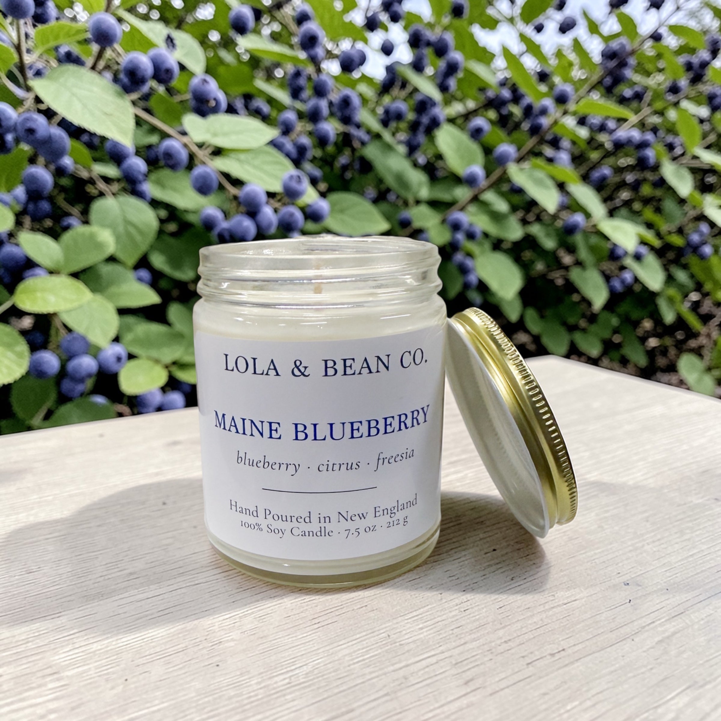 Maine Blueberry Soy Candle